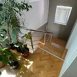 Amir * Szarajevó