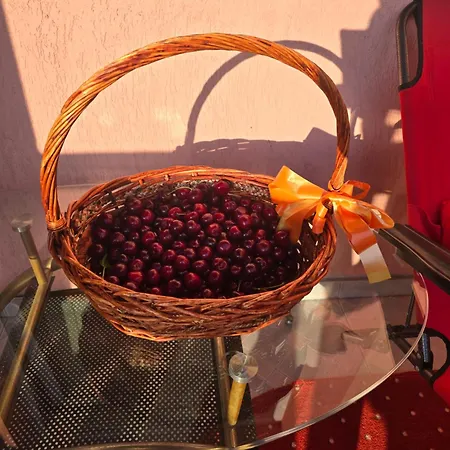 Amir Vila